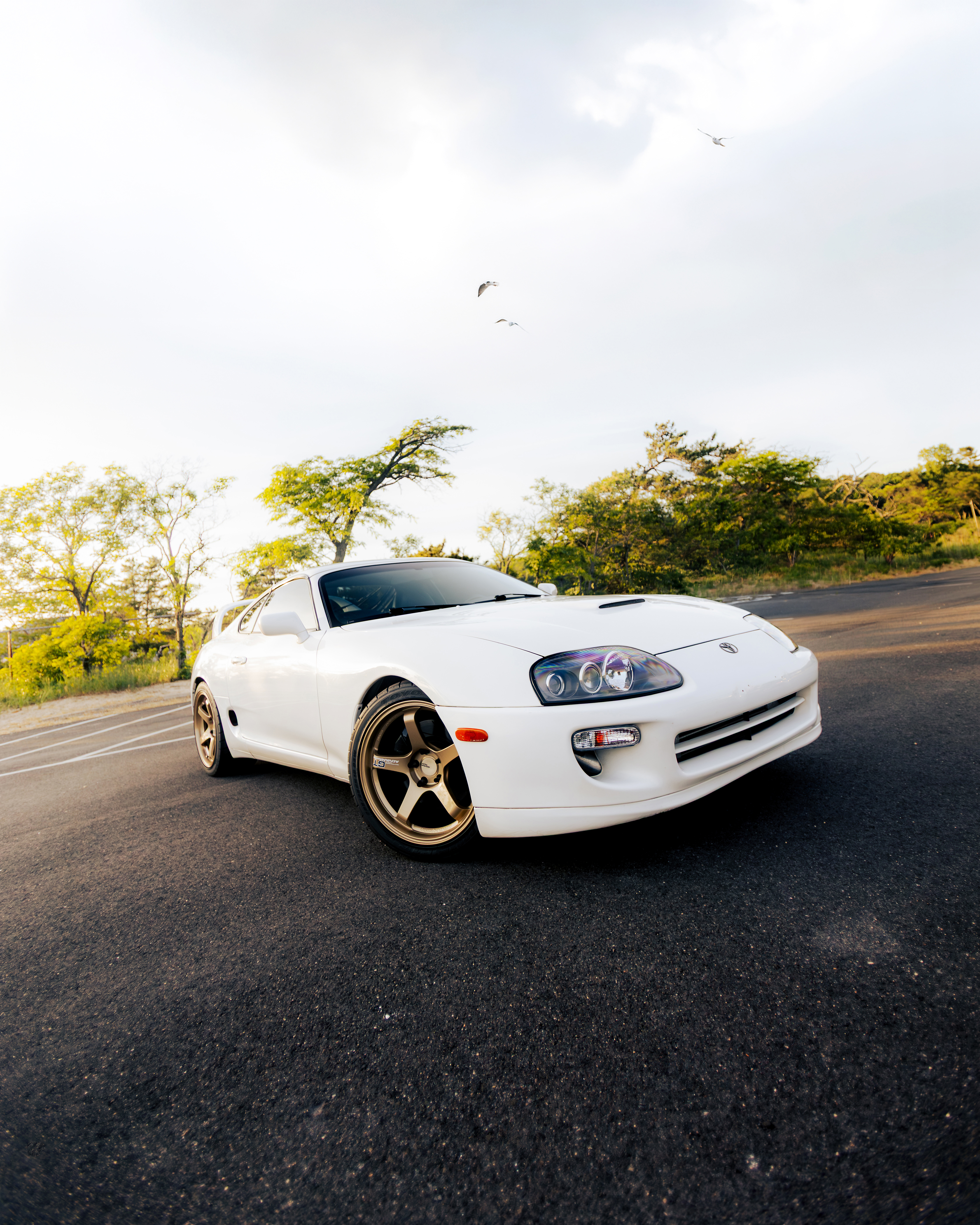 MK4 Supra, Coast Road