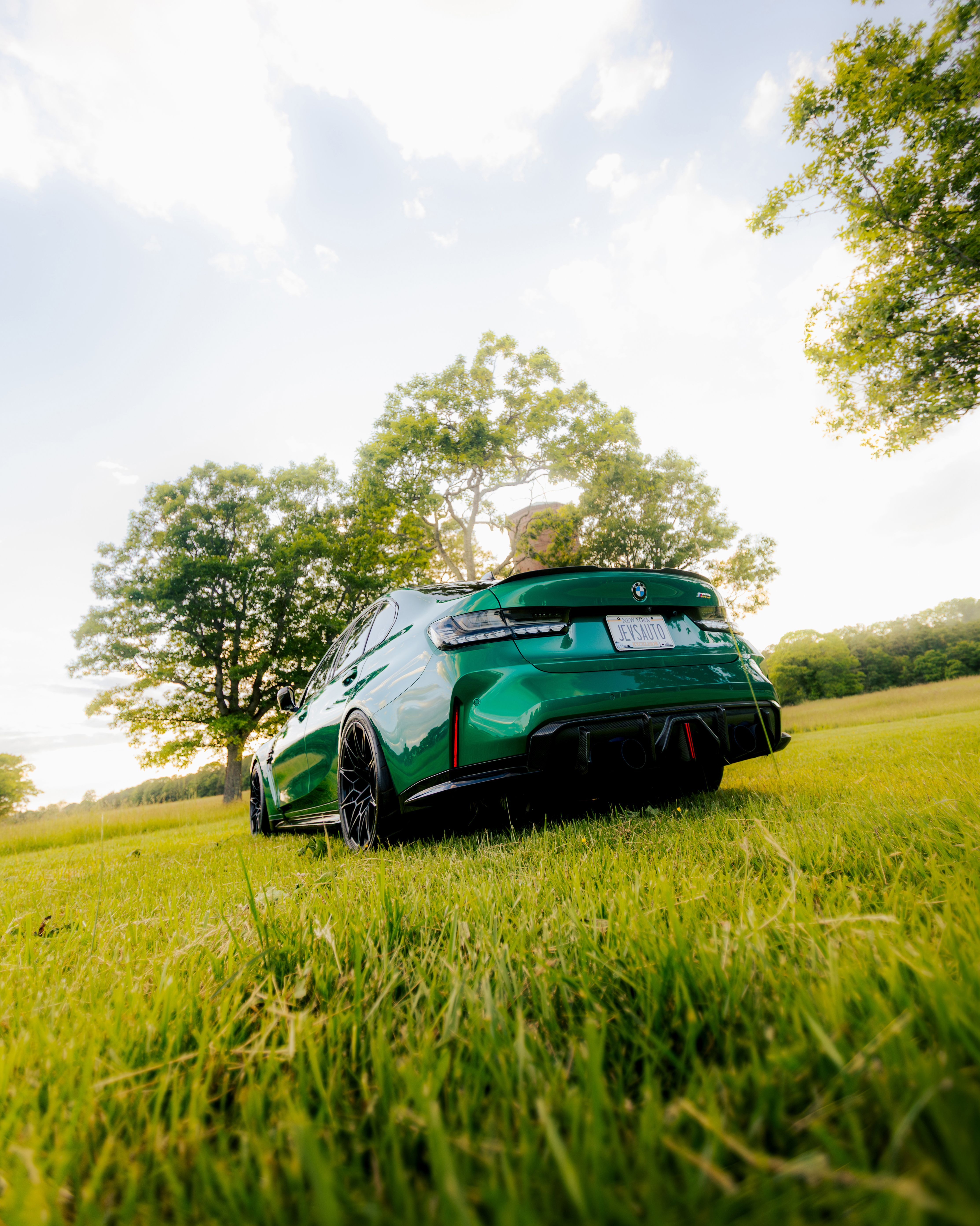 M3 in the Meadow