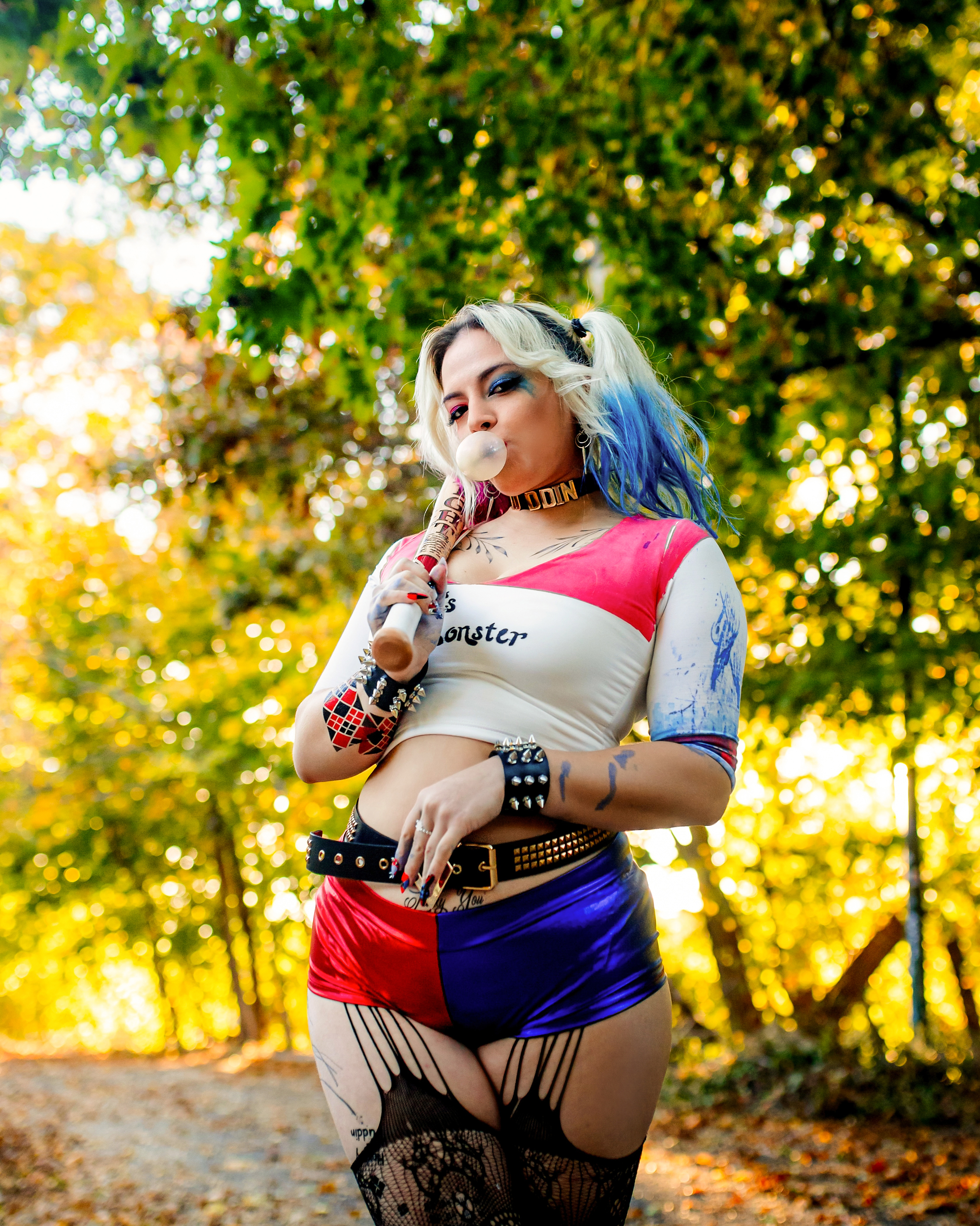 Harley, Autumn Light